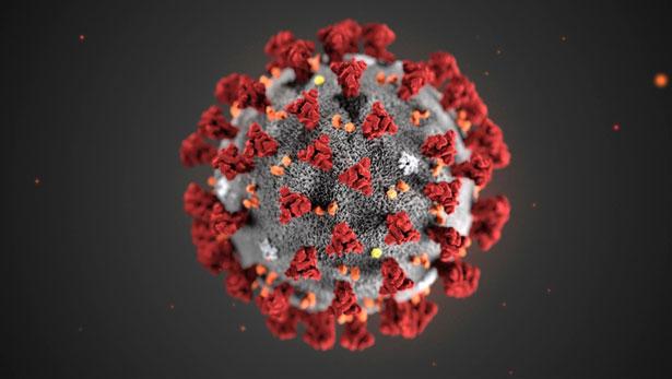 Koronavirüs damarlara saldırarak ölüme yol açıyor