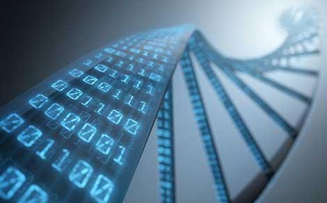 Klinik verilerden yola çıkarak genetik hastalıkların teşhisini koyacak yazılım geliştirildi