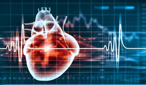 Kalp atışlarını düzenleyen hücreler geliştirildi 