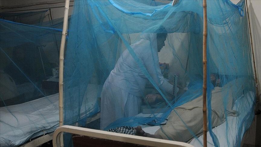 Dünya genelinde 2022'de sıtma nedeniyle 608 bin kişi öldü