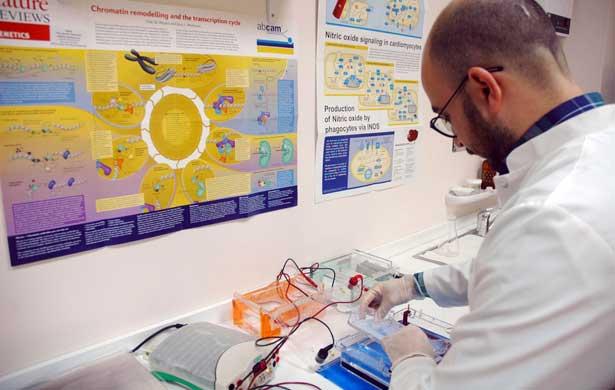 Türk bilim adamlarından 'kanser tanı kiti'