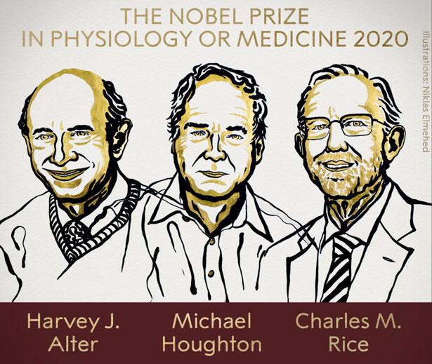  2020 Nobel Tıp Ödülü sahiplerini buldu