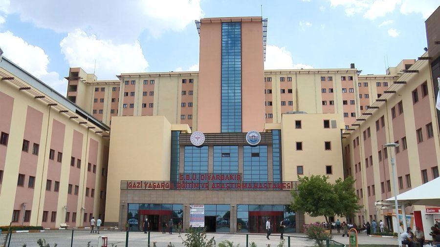 Diyarbakır’da hastane bahçesindeki köpeklerin doktorun talimatıyla toplatıldığı iddiasıyla ilgili açıklama