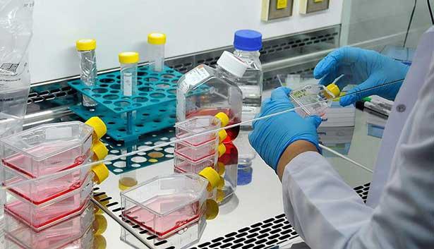 Erciyes Üniversitesi  kanser ilacı üretecek