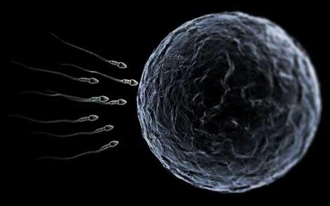 Sperm kalitesi gün geçtikçe düşüyor