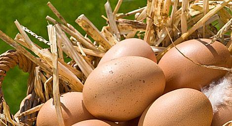 Yumurta yemek subklinik aterom oluşumunu arttıyor