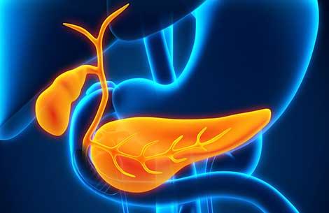Oruç tutar gibi diyet yapan diyabetli pankreasını yenileyebilir