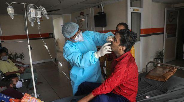 Hindistan’ın Jarkand eyaletinde kara mantar nedeniyle epidemi ilan edildi