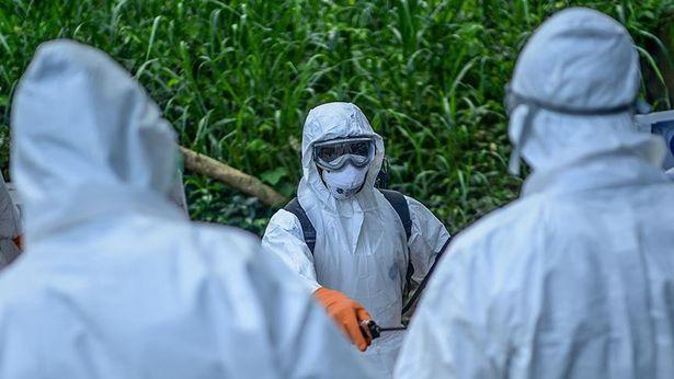 Kongo'da 7'sinin Ebola olduğu kesinleşen 34 kişi hayatını kaybetti