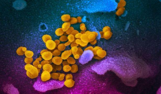 Kastamonu'da koronavirüs şüphesi bulunan 2 kişinin sonuçları negatif çıktı