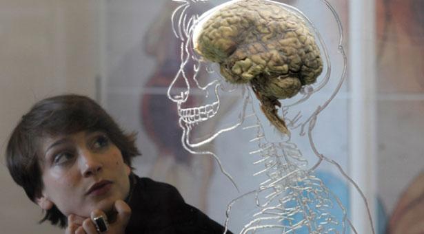 Bilim insanları, yaşanılan çevrenin insan beynini etkileyebileceğini ortaya koydu