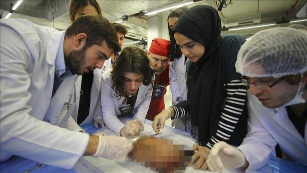 Türkiye'nin en büyük plastinasyon laboratuvarında kadavra eğitimi: 23 tıp fakültesinden öğrenci
