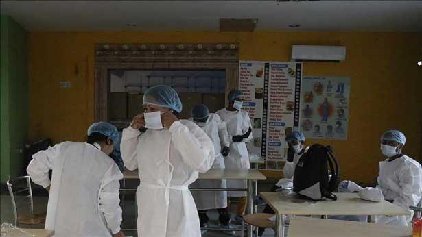 Kara mantar hastalığı Meksika’ya da sıçradı