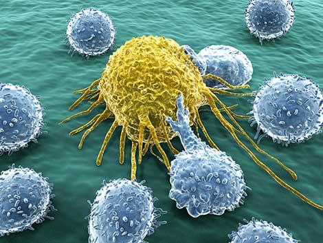 Yeni geliştirilen bir aşı, kanserle savaşan hücreleri yüzde 51 oranında artırdı 