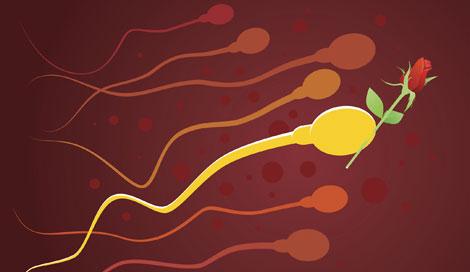 İlk kez yüksek kalitede yapay sperm geliştirildi