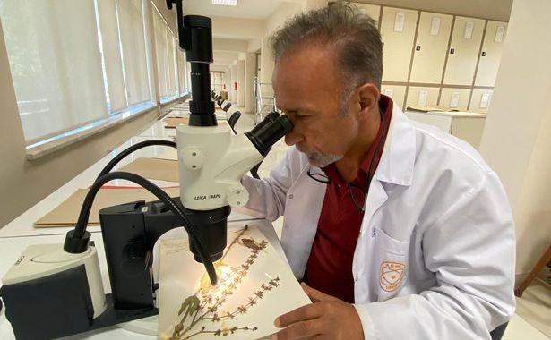 Ankara Üniversitesi'nde bulunan herbaryum 400 bin bitki türü ile ilaç çalışmaları için bir veri bankası