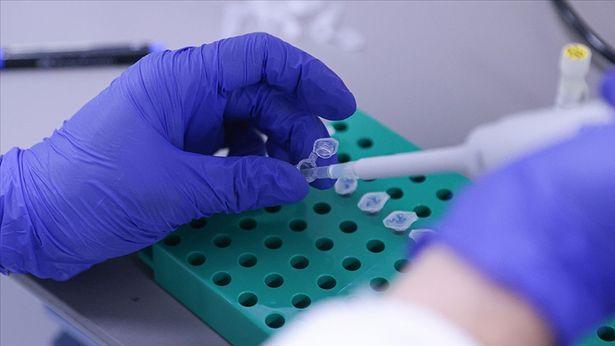 VLP temelli yerli aşı, Faz-2 aşamasında varyantlara karşı da test ediliyor