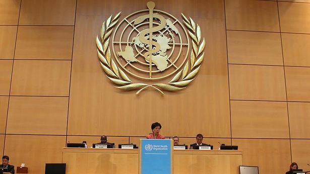 Dünya Sağlık Asamblesi başladı: Sağlık Bakanı Koca da katılıyor