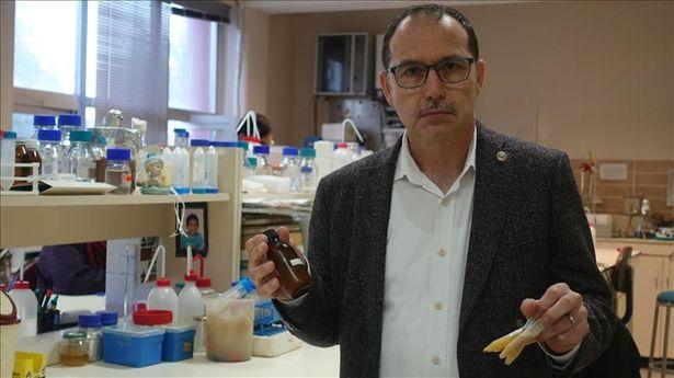 Prof. Dr. Ali Osman Beldüz: 'Probolis HIV virüsüne karşı etken'