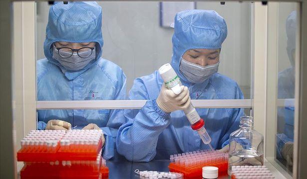 Çin, Kovid-19 aşısı için tarih verdi