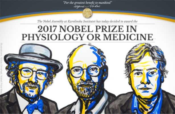 2017 Nobel Tıp Ödülü'nün sahipleri belli oldu! İşte o çalışma!
