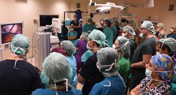 OMÜ'de 12 üniversiteden doktorların katılımıyla canlı cerrahi yapıldı
