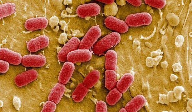 Yapay zeka başarısı: En tehlikeli bakterileri öldüren antibiyotik bulundu