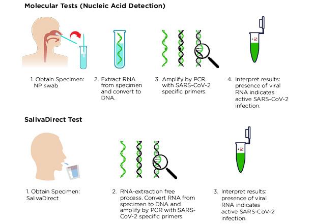 FDA'dan acil kullanım izni: Covid-19 tükürük testleri çok yakında evde de denenebilir hale gelebilir
