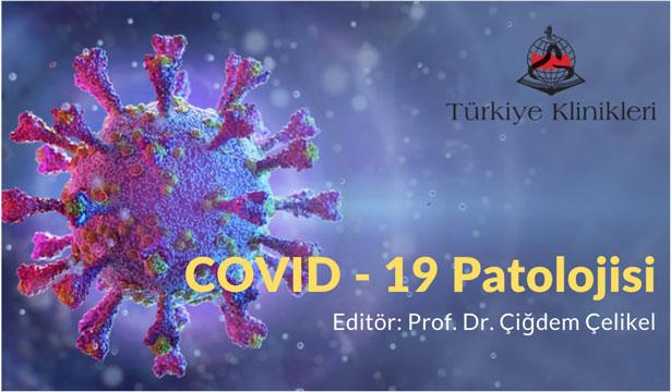 Türkiye Klinikleri 'COVID - 19 Patolojisi' çıktı