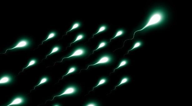 Araştırma: Covid-19 aşısı sperm kalitesinde ve sayısında artış sağlıyor