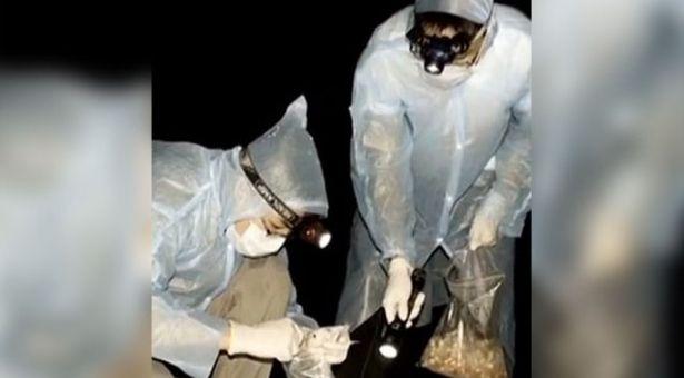 Vuhan Laboratuvarı: Çinli bilim insanı mağarada numune toplarken yarasa tarafından ısırıldı