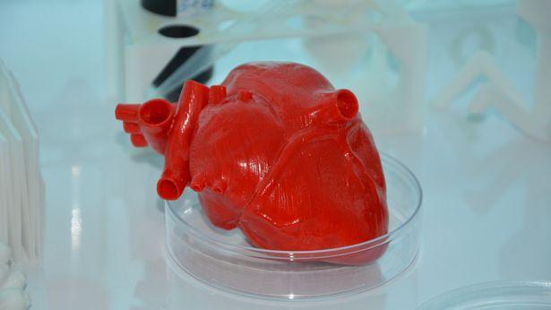 Türk bilim insanları kök hücre ve 3D biyo-yazıcı kalp ve karaciğer üretecek