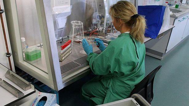 Deneysel Ebola ilaçlarında yüzde 90'lık başarı görüldü