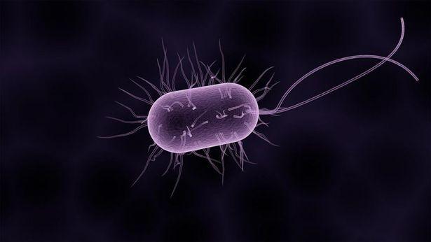 İngiltere'de bakteri tehlikesi: 12 kişi hayatını kaybetti