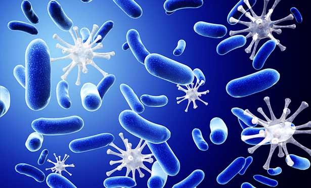 Bakteriler ile ilgili yeni araştırma: Binlerce kilometre gidebilir