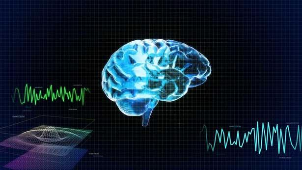 Bilim insanları minik beyinler üretti: 'Zihinsel bozuklukların incelenmesinde etkili'