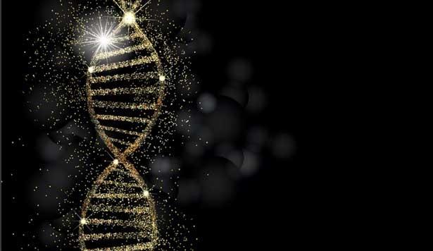İnsan ırkı tehlikede: Acilen gen ve DNA bankaları kurulmalı 