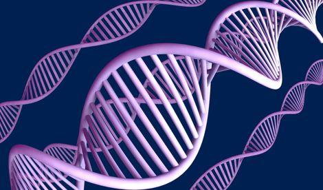Araştırma: DNA yaşam süresi hakkında ipuçları veriyor