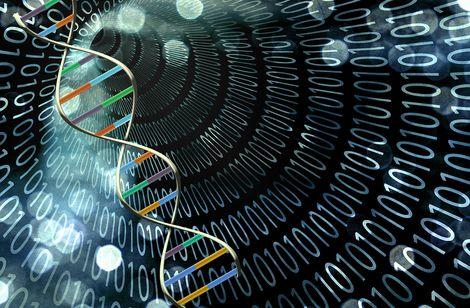 Hücrelerde DNA'nın yeni bir yapısı keşfedildi: i-motif