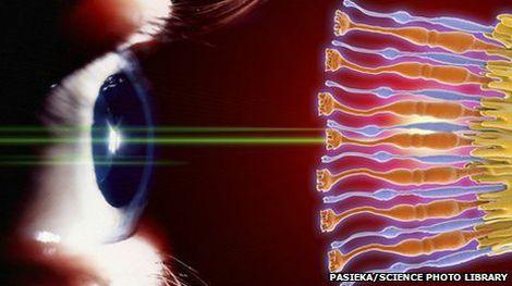 Görme bozukluklarının tedavisi için retina üretildi