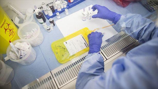 Covid-19 testlerinin analizini yapan 240 laboratuvar çalışanı virüse yakalandı