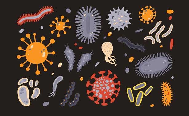 Hacettepe Tıp'tan yol gösterici mikrobiyata çalışması: 16 çalışma arasından birinci seçildi